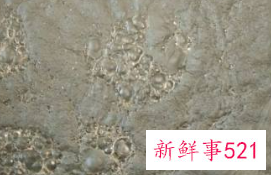 龟苓粉制作龟苓膏的做法