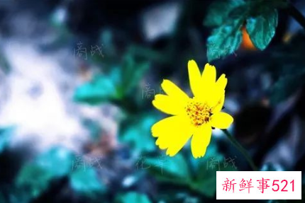 在职场如何获得他人的尊重