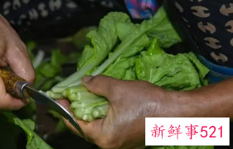 梦见给已经去世的人送菜