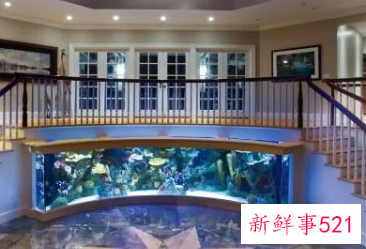 一进门门口右边放鱼缸