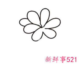 君子兰的简笔画