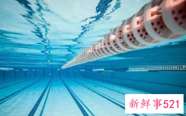 游泳是属于有氧运动吗