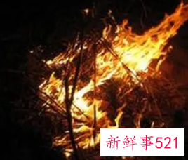 梦见一堆柴火什么意思