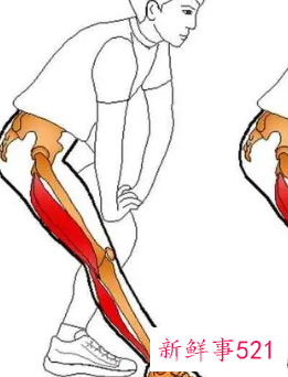 早晨做哪些运动比较好