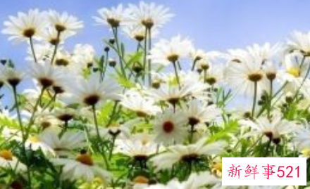 怎么培养性格温柔