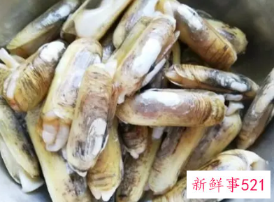 如何让蛏子吐沙