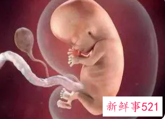 怀孕是9个月还是10个月