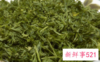 关于铁观音是什么茶