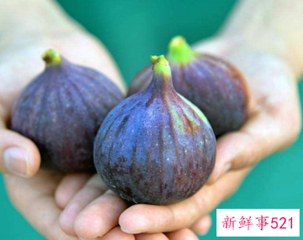 女人吃无花果的好处是什么