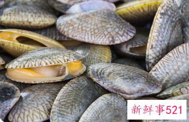 河蚌不可以和什么同吃