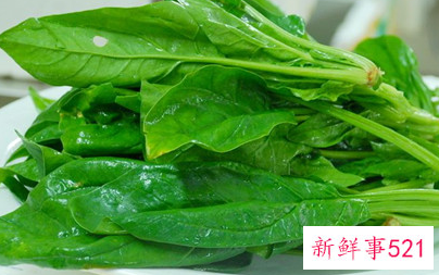 春天比较有特色的食物有哪些