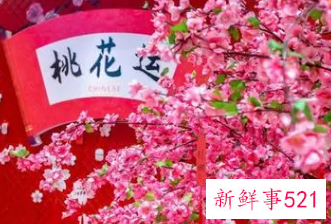 桃花灾怎么化解