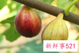 吃对这8种食物 排毒养颜很容易