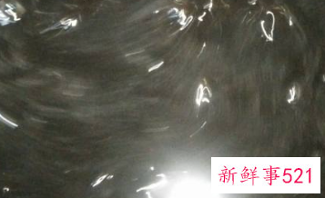 龟苓粉制作龟苓膏的做法