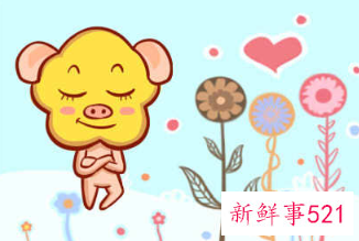 猪与鼠属相婚配好吗