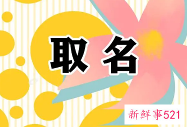 正规的起名一般根据什么起