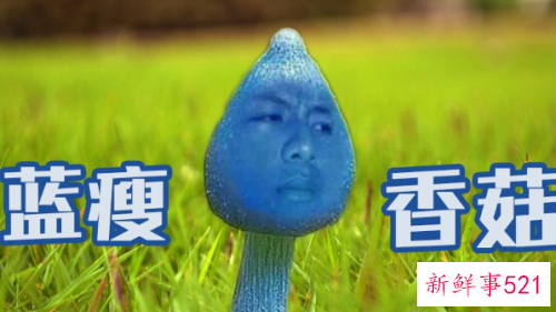 男人出轨后这么做不再蓝瘦香菇