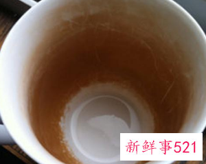 水杯上的茶垢怎么样可以去掉
