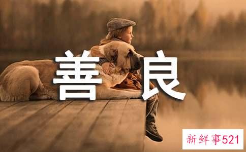 善良重感情的星座分别有哪些