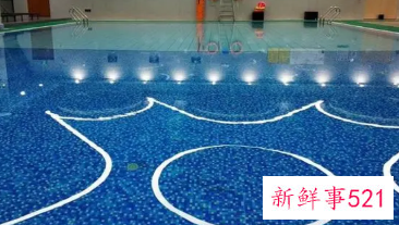 游泳是属于有氧运动吗