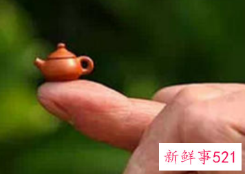 世界上最小的茶壶