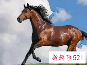 属马几点出生大富大贵的