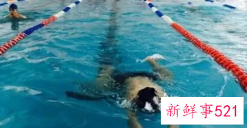 游泳是属于有氧运动吗