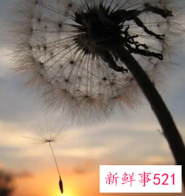 感叹人生聚散的句子哲理