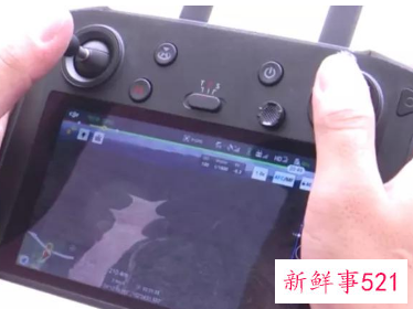 6头大象闯入汽车店干掉2吨水