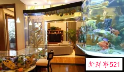 一进门门口右边放鱼缸