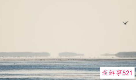 怎么培养性格温柔