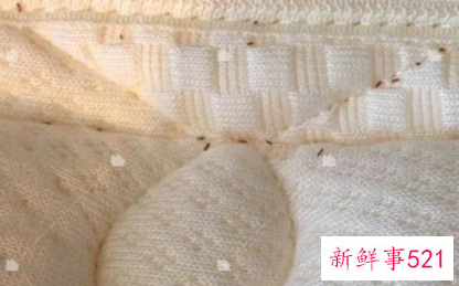 怎么判断床上有床虱