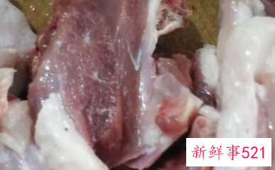 鹅肉怎么炖汤好喝