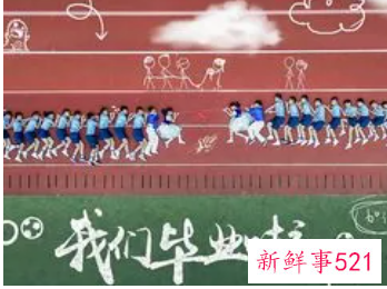 适合毕业季的活动