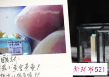 世界上最小的茶壶