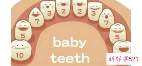 小儿换牙的顺序