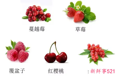 覆盆子和蔓越莓是同一种水果吗