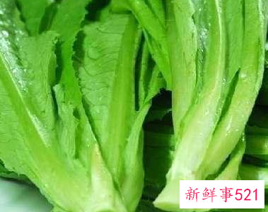 吃生菜对身体有什么好处