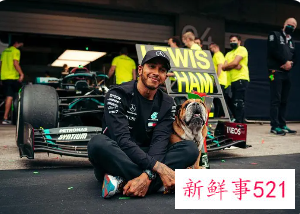 F1车手+网球明星参与竞购切尔西