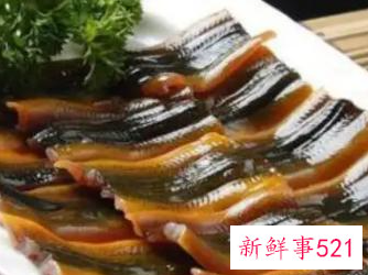 鳝鱼的营养价值是什么