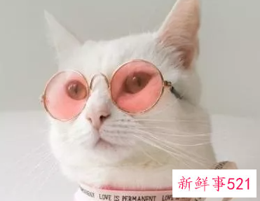 撩人腿软的情话