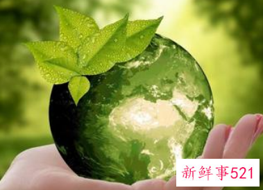 绿色代表什么象征