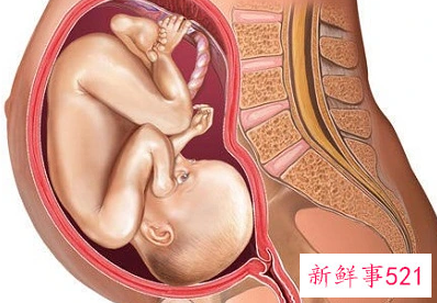 生男生女孕妇的特征有哪些