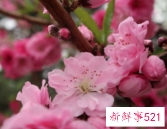 工厂的厂房若是风水不好应该怎么化解