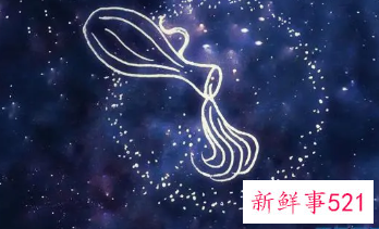 2022年过得最滋润的五大星座