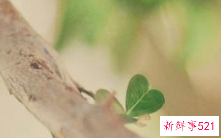 怎么培养性格温柔