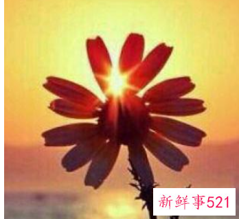 好感与反感只在一瞬间