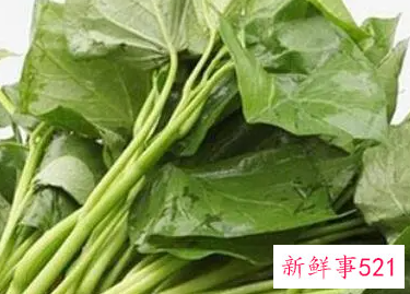 番薯叶的作用