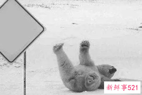 梦见摔倒有什么征兆呢