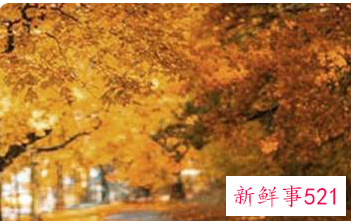 梦到非常漂亮的景色